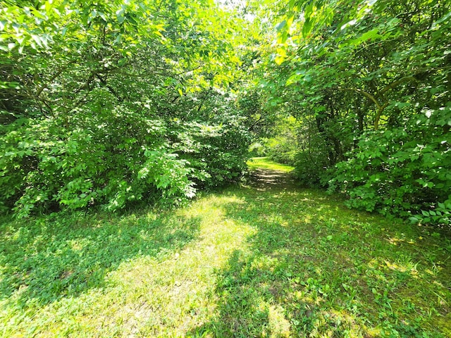 851 E County Line Rd, Springfield, OH 45502 - photo 56