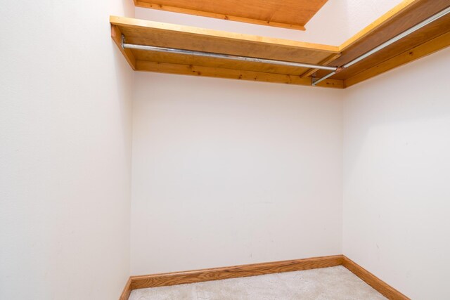 129 Tanglewood Dr, West Liberty, OH 43357 - spacious closet with carpet floors