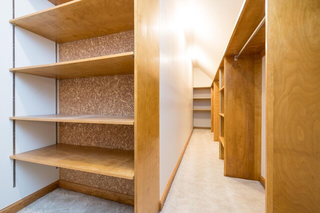 129 Tanglewood Dr, West Liberty, OH 43357 - walk in closet featuring carpet floors