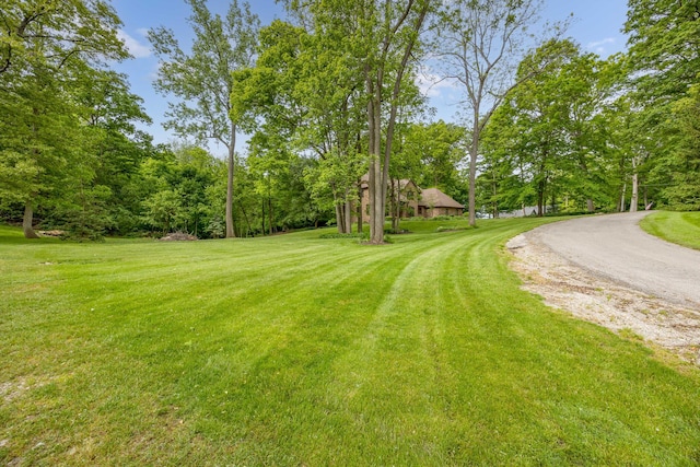 129 Tanglewood Dr, West Liberty, OH 43357 - view of green lawn