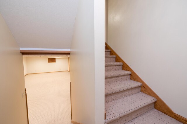 129 Tanglewood Dr, West Liberty, OH 43357 - stairway with baseboards and carpet