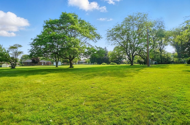 1010 Glynwood Rd, Wapakoneta, OH 45895 - view of grassy yard