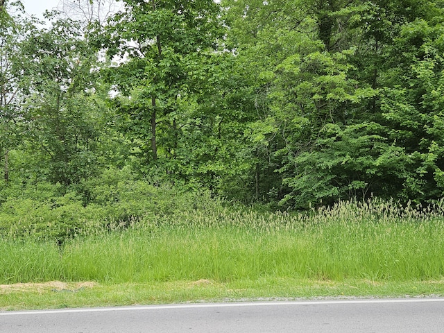 0 Botkins Rd, Jackson Center, OH 45334 - photo 9