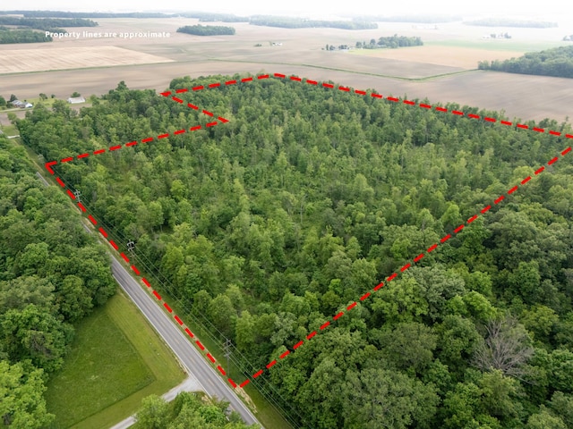 0 Botkins Rd, Jackson Center, OH 45334 - photo 5