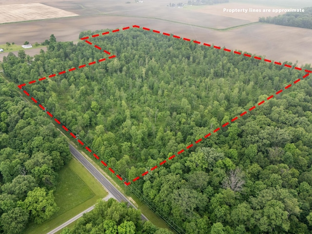 0 Botkins Rd, Jackson Center, OH 45334 - photo 3