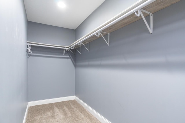 spacious closet featuring carpet