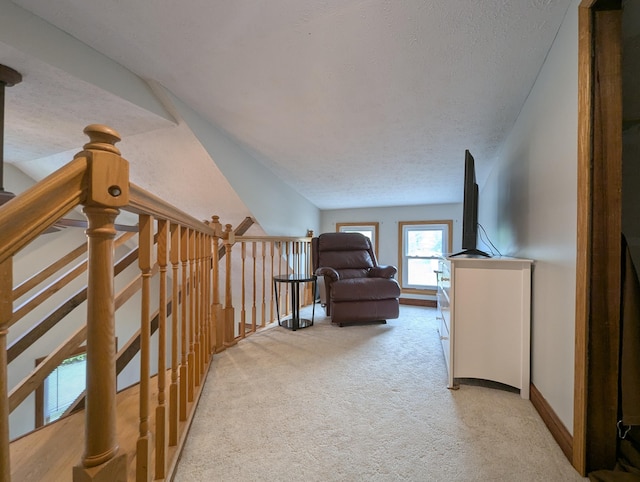 305 E Newell St, West Liberty, OH 43357 - photo 12