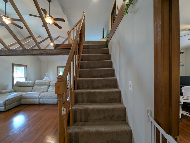 305 E Newell St, West Liberty, OH 43357 - photo 11