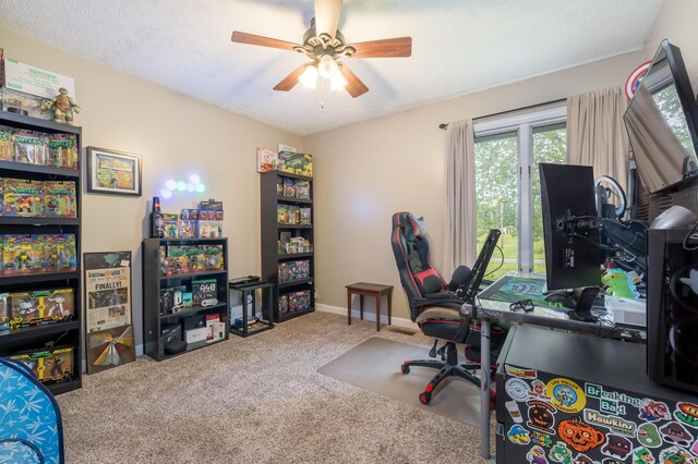 11310 Parker Dr, Belle Center, OH 43310 - photo 32