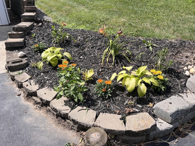 3102 County Road 5, Bellefontaine, OH 43311 - photo 48