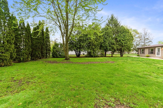 view of yard
