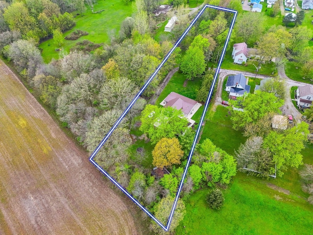 bird's eye view