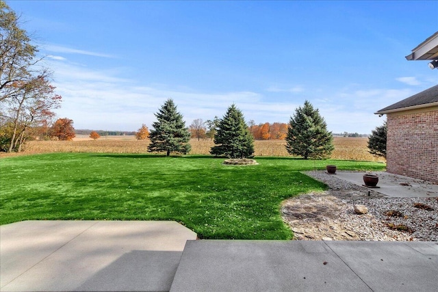 view of yard with a patio area