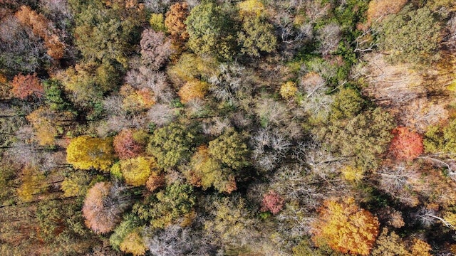 birds eye view of property featuring a wooded view