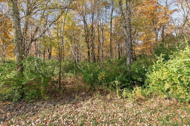 view of nature with a forest view