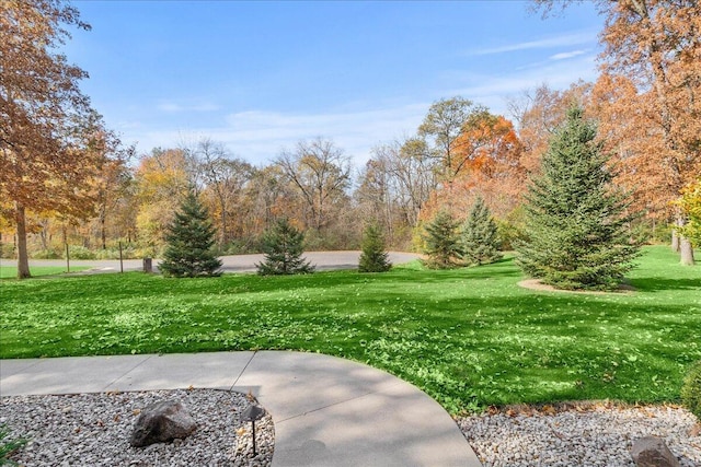 view of community featuring a yard