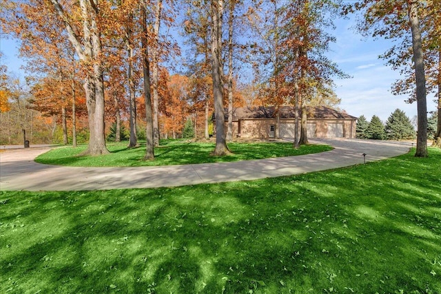 surrounding community featuring a yard and driveway