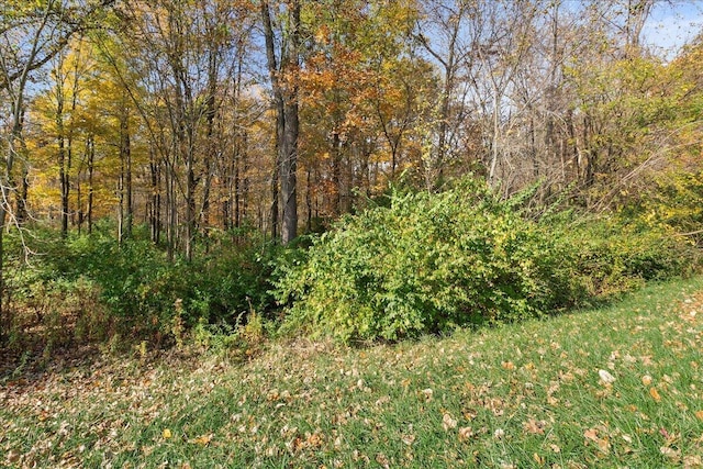 view of landscape featuring a view of trees