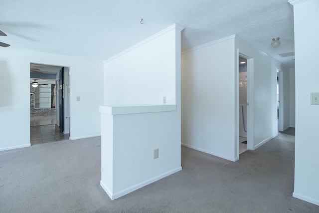 corridor featuring crown molding and carpet floors