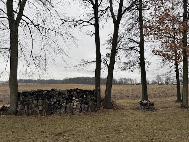 view of yard featuring a rural view