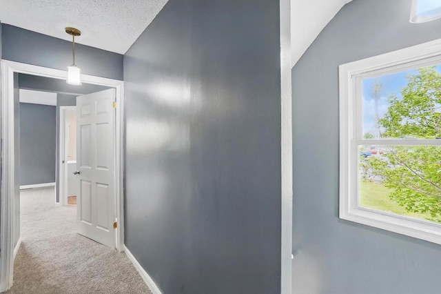 925 E St, Springfield, OH 45505 - hallway featuring plenty of natural light, carpet flooring, baseboards, and a textured ceiling