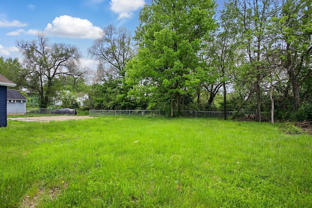925 E St, Springfield, OH 45505 - view of yard