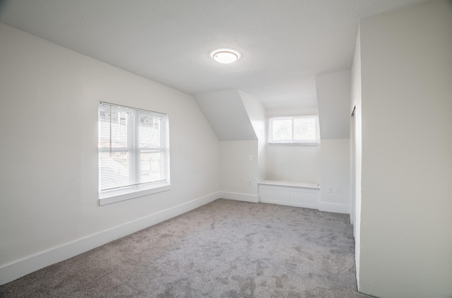 additional living space with baseboards, carpet, and lofted ceiling