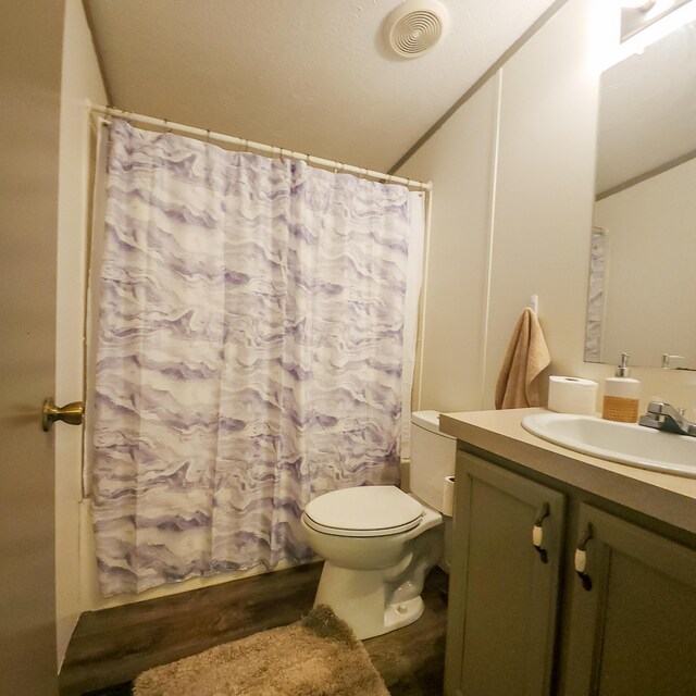 11524 Powhattan Path, Lakeview, OH 43331 - bathroom with vanity, toilet, and curtained shower