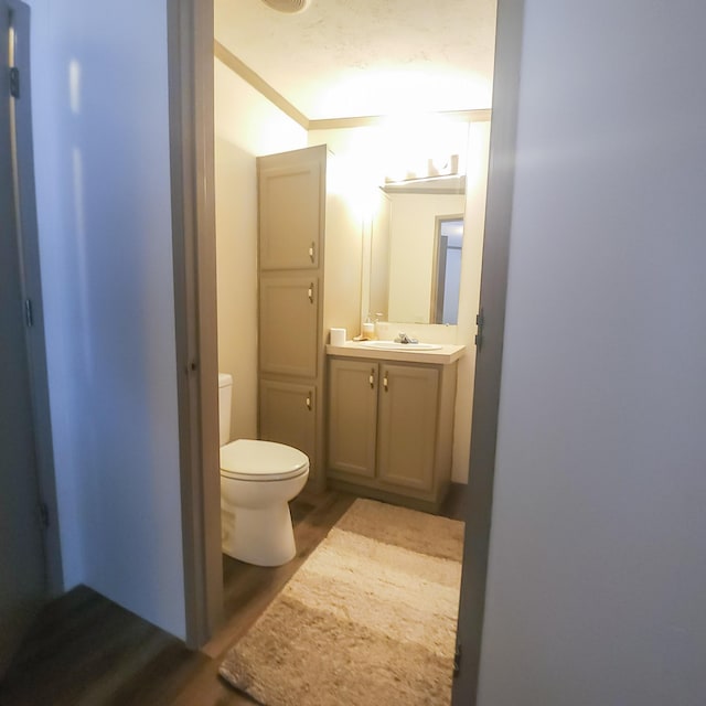 11524 Powhattan Path, Lakeview, OH 43331 - half bathroom with toilet, wood finished floors, and vanity