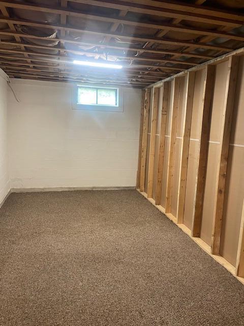 209 N Kenilworth Ave, Lima, OH 45805 - basement featuring carpet