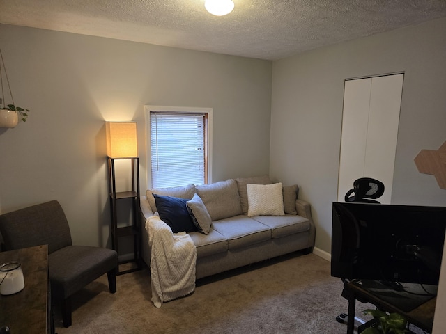 living room featuring carpet floors and a textured ceiling