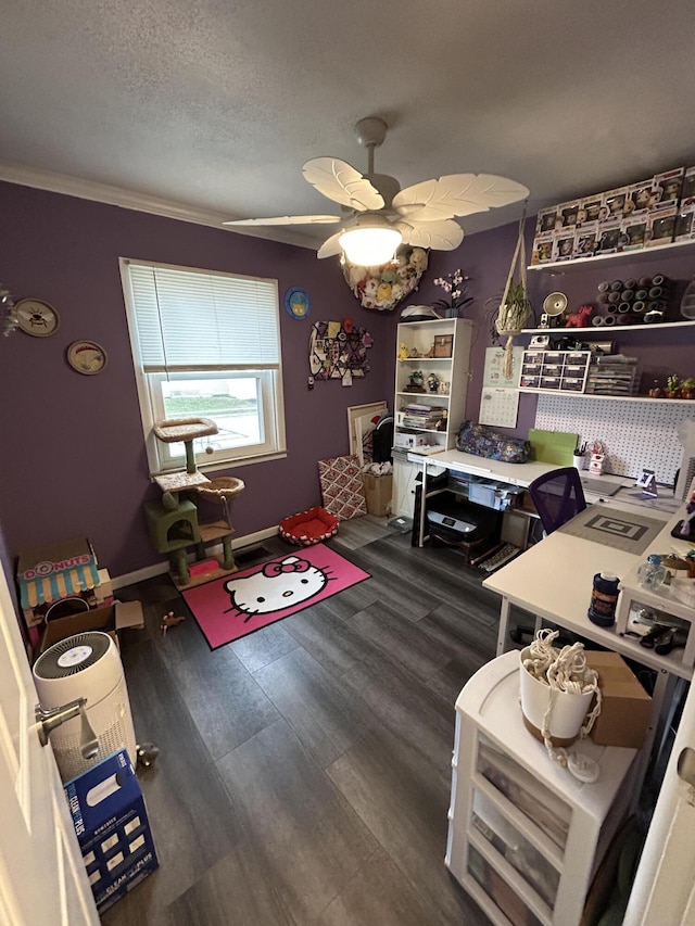interior space featuring wood finished floors, ceiling fan, and a textured ceiling