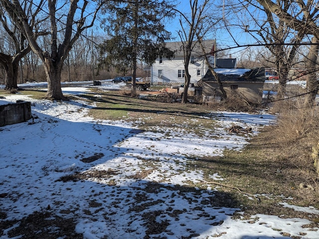 view of yard covered in snow