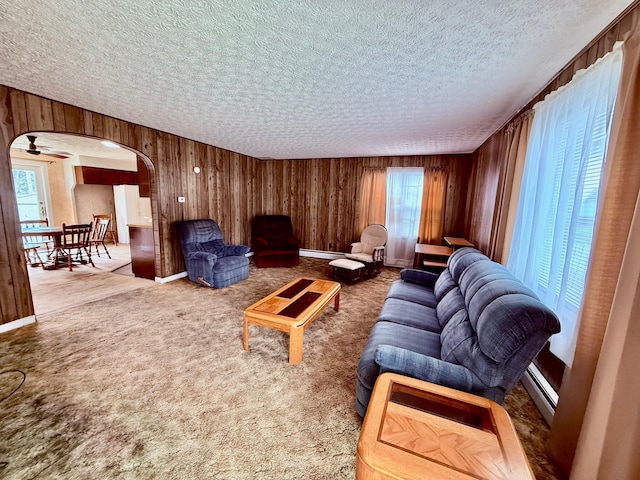 7188 Clark Dr, Russells Point, OH 43348 - living area featuring arched walkways, wood walls, carpet, and baseboard heating