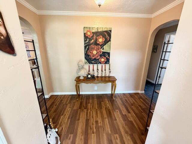 271 N Ludlow St, Covington, OH 45318 - corridor featuring arched walkways, wood finished floors, and ornamental molding