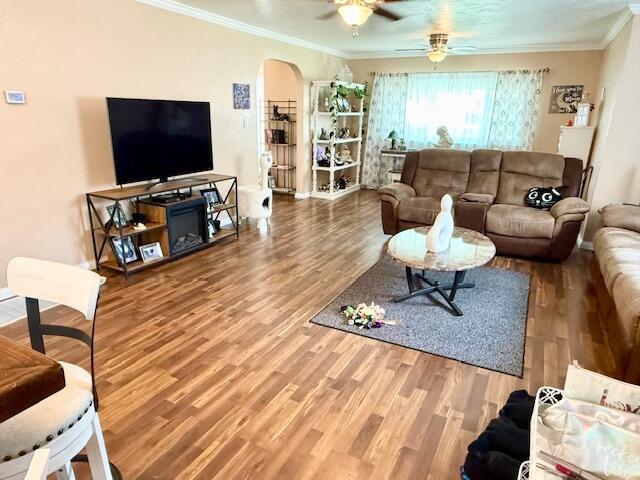 271 N Ludlow St, Covington, OH 45318 - living area featuring ornamental molding, wood finished floors, ceiling fan, and arched walkways