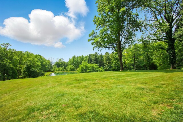 2590 Ross Ln, Springfield, OH 45502 - photo 48