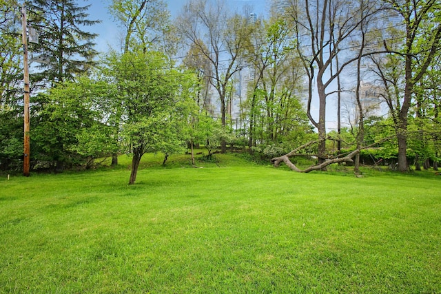 1730 Miracle Mile, Springfield, OH 45503 - photo 43