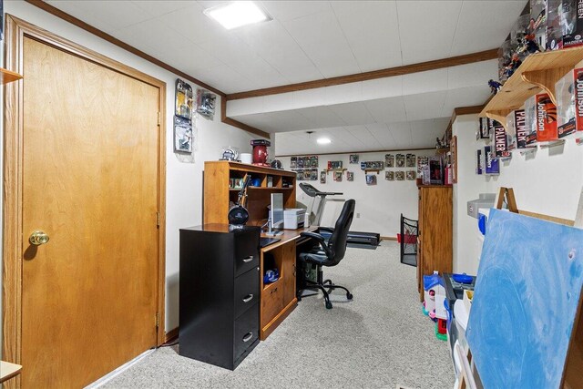 509 Woodland Dr, Bellefontaine, OH 43311 - photo 28