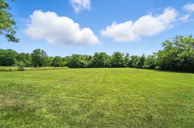 4129 New Carlisle Pike, Springfield, OH 45504 - photo 85