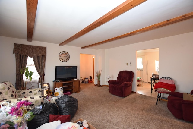 living room with carpet floors and beam ceiling