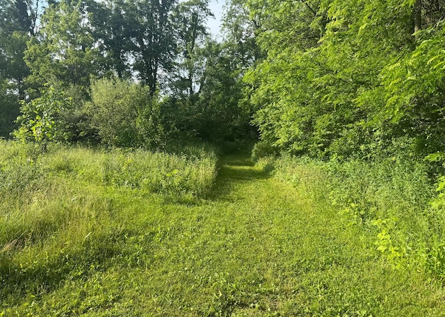 930 N Bickett Rd, Xenia, OH 45385 - view of local wilderness
