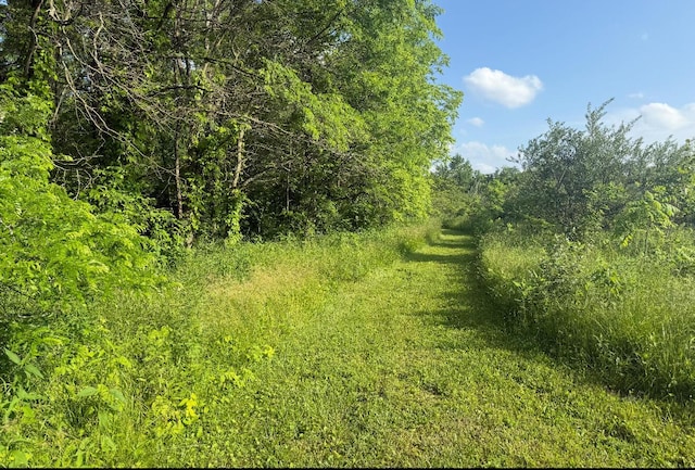 930 N Bickett Rd, Xenia, OH 45385 - view of woods