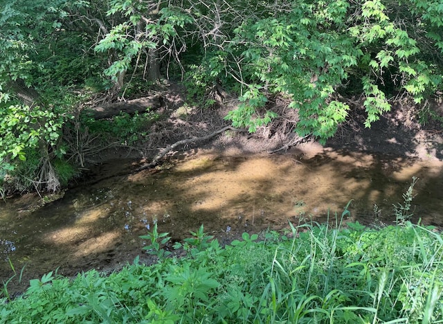 930 N Bickett Rd, Xenia, OH 45385 - view of nature