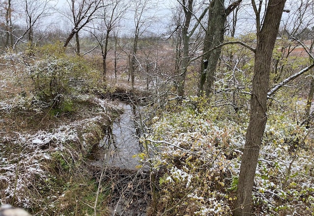 930 N Bickett Rd, Xenia, OH 45385 - view of woods