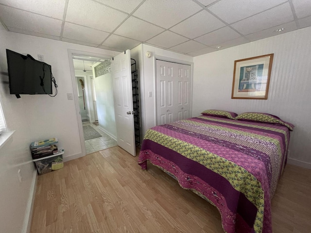 bedroom featuring a paneled ceiling, light hardwood / wood-style floors, and a closet