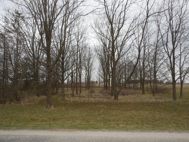 0 N Furlong Rd, Laura, OH 45337 - photo 10