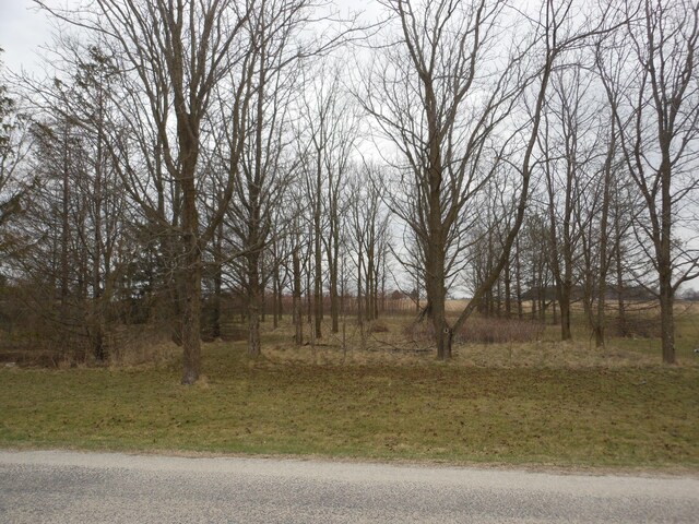0 N Furlong Rd, Laura, OH 45337 - photo 8