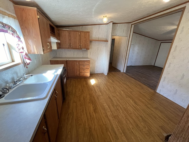 kitchen featuring brown cabinetry, wood finished floors, a sink, under cabinet range hood, and a textured ceiling