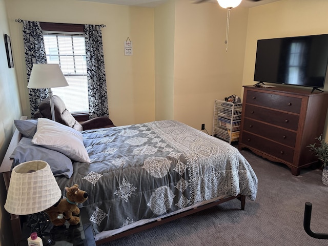 607 W S St, Saint Marys, OH 45885 - view of carpeted bedroom